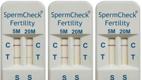 Hope for infertile men: Human sperm cell  successfully grown in French laboratory