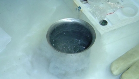 Liquid nitrogen cocktail news: Teen had her stomach removed after drinking Nitro-JÃ¤germeister