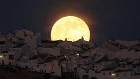 Blood Moon apocalypse? Mormon leaders issue statement not to worry