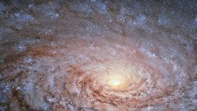 Even nonreligious people believe universe, life exist because of a Creator, survey says