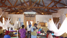 Malaria vaccine news: more pilot studies needed