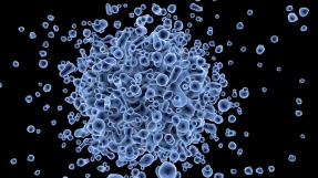 Herpes virus news: About 3.7 billion people worldwide carry the herpes virus, a WHO report finds