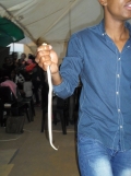 Hunt is on for pastor who force fed snakes to his congregation