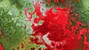 Schizophrenia news: Folds in the brain found to be associated with hallucinations among patients