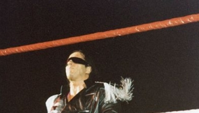 WWE rumors 2015: Bret Hart compares Roman Reigns to Kevin Nash [VIDEO]