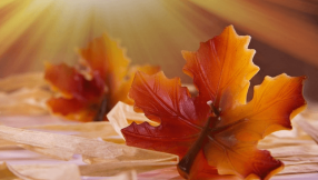What should be the focus of Christians on Thanksgiving?
