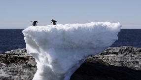 Widespread deaths on Earth possible if global warming depletes oxygen levels, scientists warn