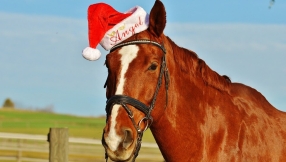 What husbands should never buy their wives for Christmas