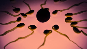 Fathers\' sperm makeup may be responsible for obesity in their children