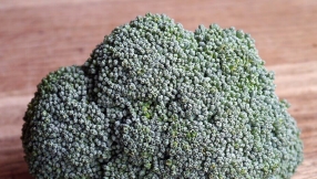 5 healthy lunch-box snacks your kids will love