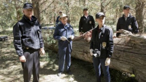\'NCIS\' season 13 spoilers: New character teased; who should play the new female FBI agent?