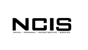 \'NCIS\' season 13 cast: Show to add \'quick-witted, sarcastic, shrewd\' 3-time divorcee to ensemble