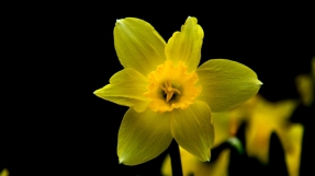 Mothering Sunday: Not a happy day for everyone, so tread carefully