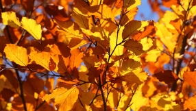 Seasons of waiting: What if God is taking a really long time to answer the prayer of your heart?