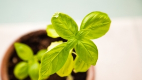 How to measure spiritual growth in our lives