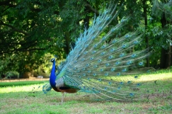 Needing other people\'s approval? How to wean yourself off