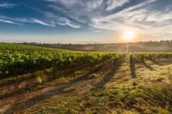 Apologist Ravi Zacharias sees hope even in death: It \'can be the valley on the way to the mountain\'