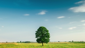 4 Necessary Yet Painful Things We Will Need To Experience To Grow