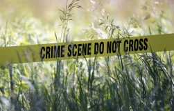 Priest Goes Around San Francisco to Pray for Those Killed in Streets