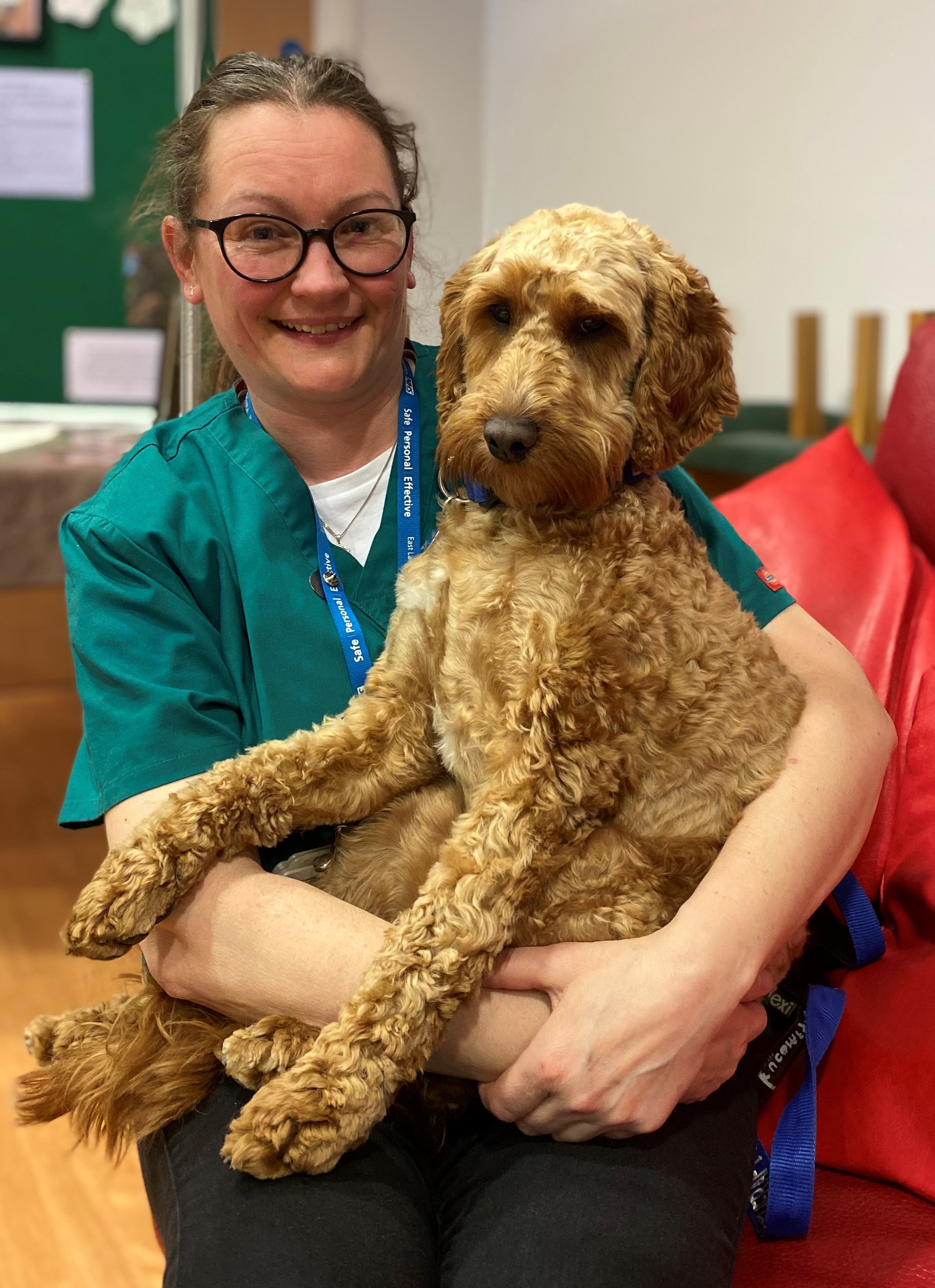 Chaplain's NHS therapy dog wins 'Dog of the Year' award Christian Today(02)