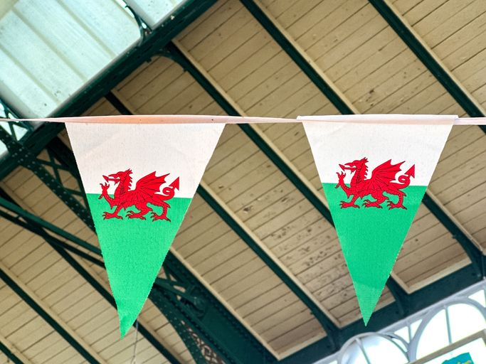 The story of St David’s Day