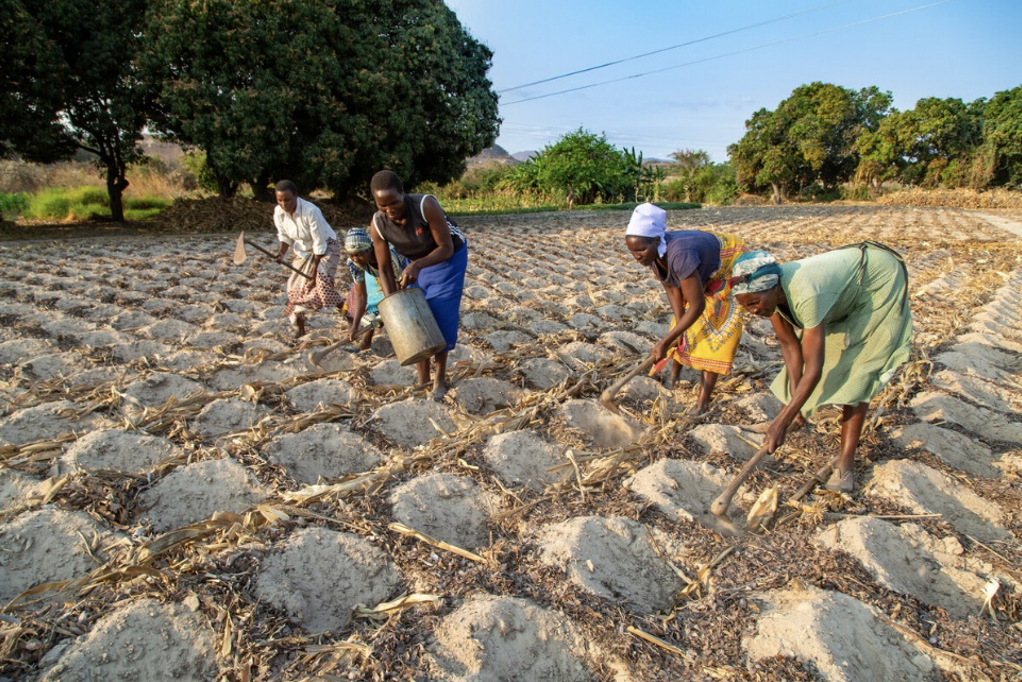 Christian organisations condemn government aid cuts