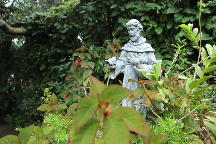 800 years on: Why St Francis of Assisi still captivates the world